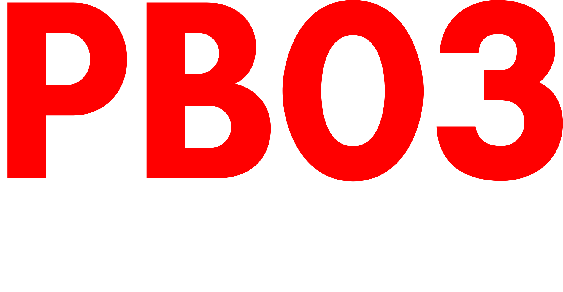 PB03 Logistics White Logo